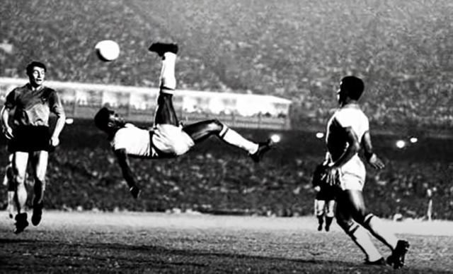 1672367346619002163.jpg pele-2 (1).jpg